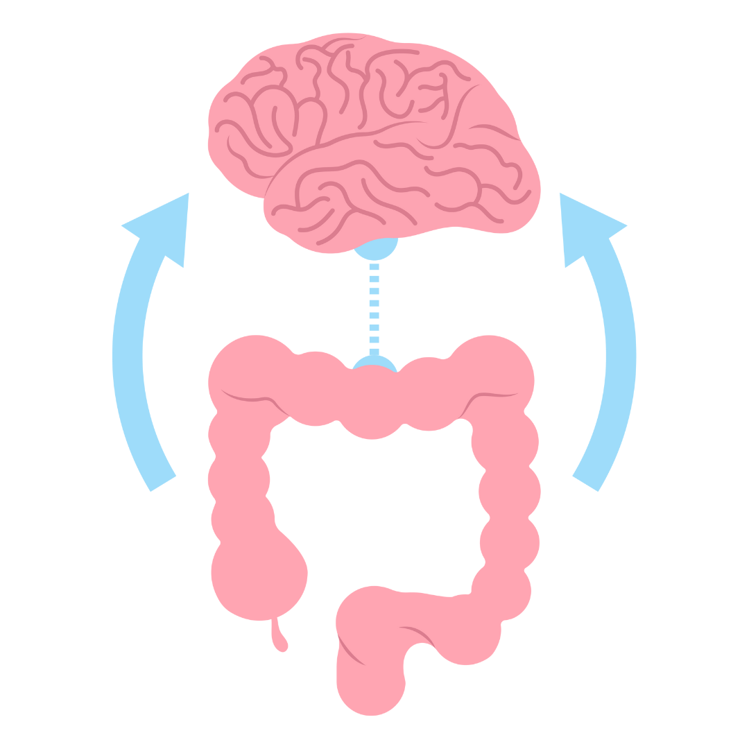 Understanding Your Gut as a Second Brain