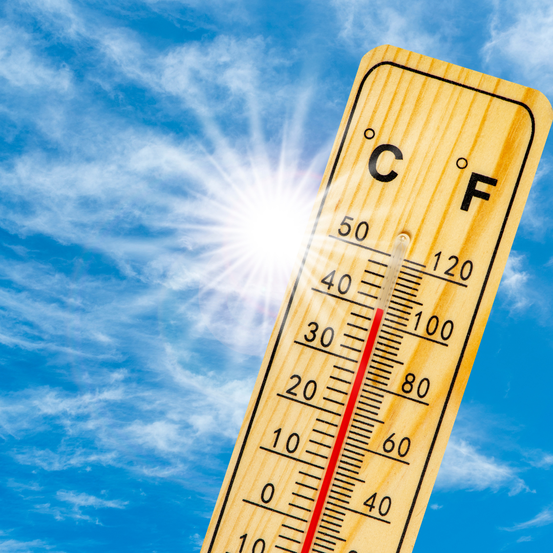 Why Do IBS Symptoms Worsen in the Heat?