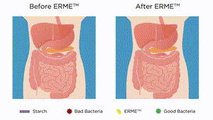Animation of how Erme works
