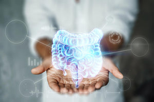 Holographic gut image