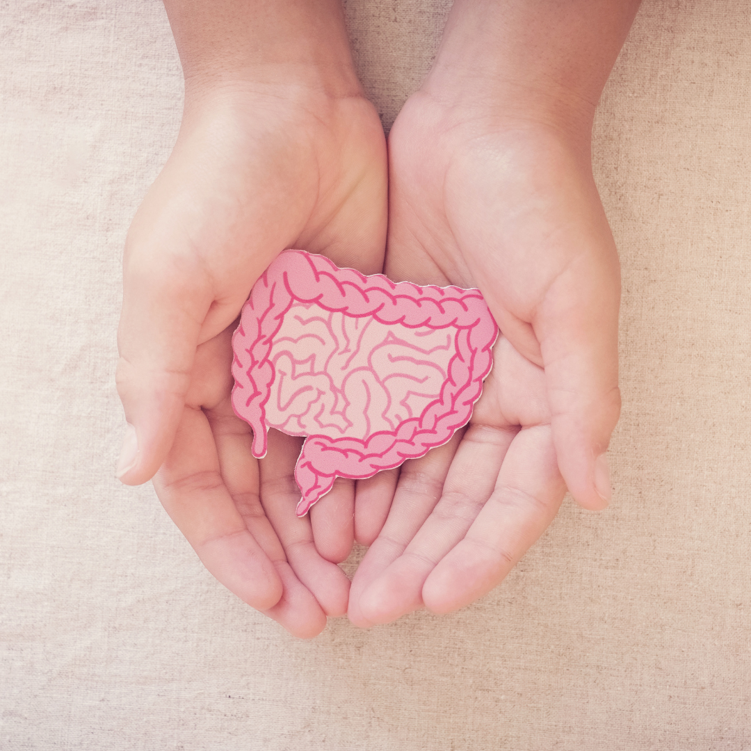 Your Gut Is More Than Digestion: Understanding Its Role in Daily Wellbeing