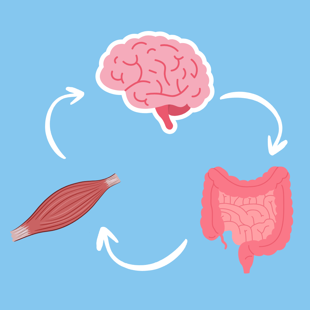 The Revolutionary Science Behind the Brain-Gut-Muscle Axis: How JUVIA Could Transform Health Through Microbiome Innovation
