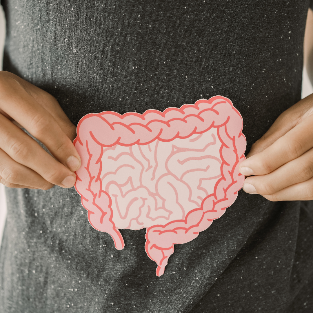 The Gut's Secret Defence: How Your Microbiome Could Be Protecting You From Forever Chemicals
