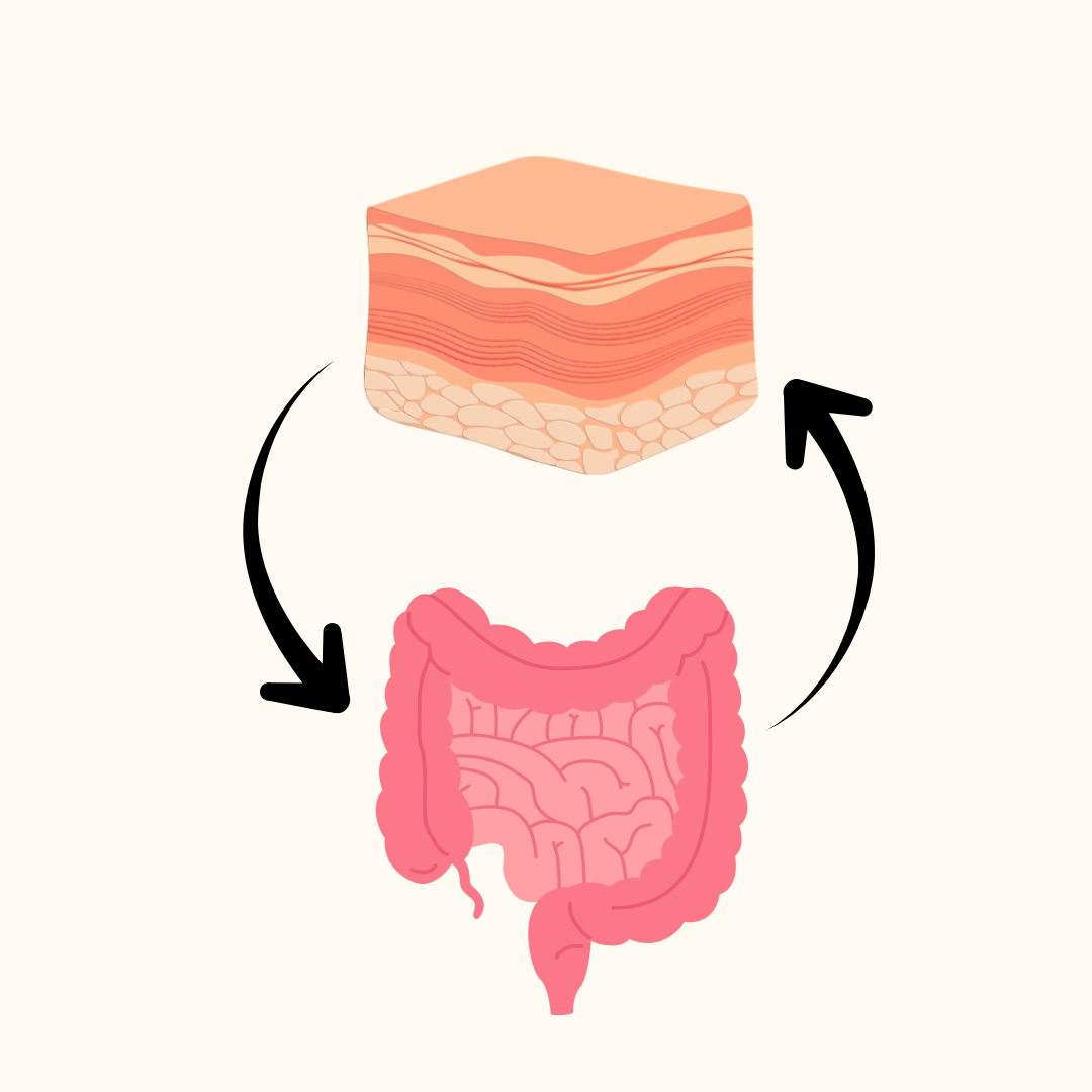 Could Your Gut Be the Key to Calmer Skin? Understanding the Gut–Skin Axis