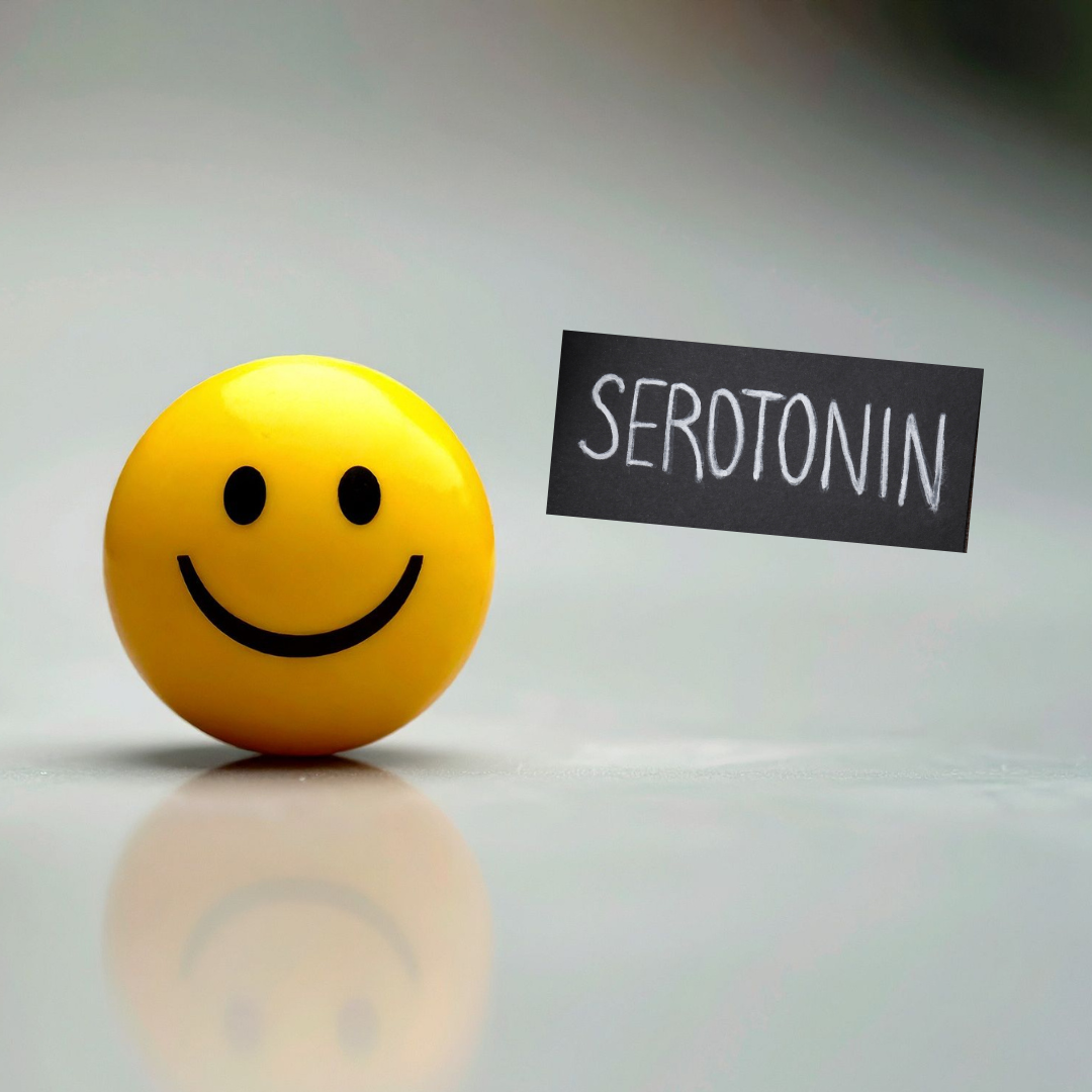 The Serotonin–Gut Connection: What the Science Really Says